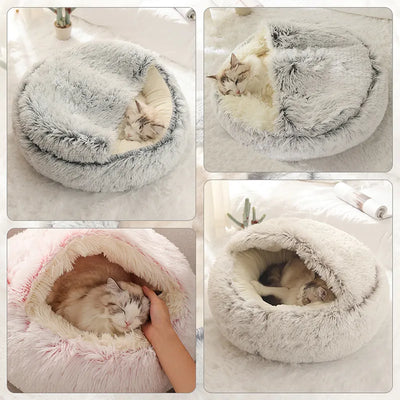 Cloyser Pet Bed